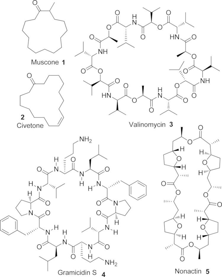 Civetone Structures of muscone and civetone elucidated by Ruzicka in