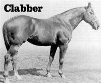 Clabber (horse) wwwnicholsquarterhorsescomgraphicsclabberjpg