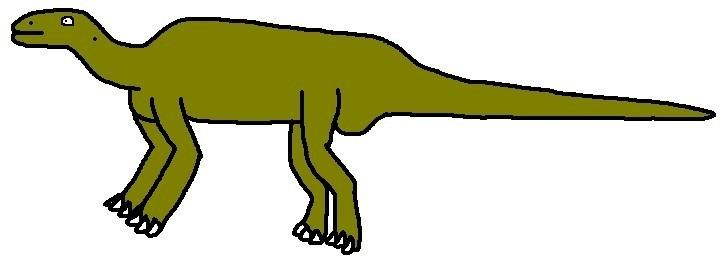Claosaurus Claosaurus Pictures amp Facts The Dinosaur Database