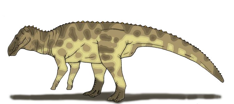 Claosaurus Claosaurus agilis by Pristichampsus on DeviantArt