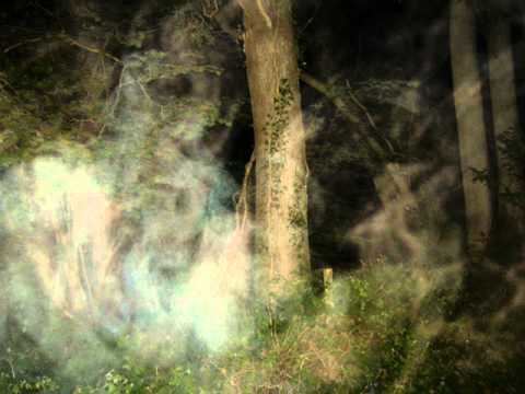 Clapham Wood Ghost hunt pics at Clapham Wood West Sussex England YouTube