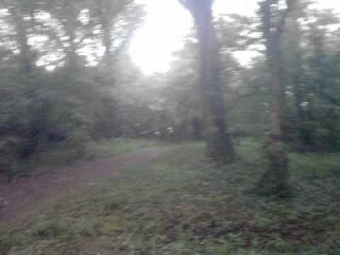Clapham Wood Clapham Wood Ghost at 12 seconds YouTube