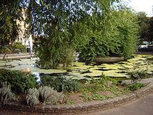 Clapton Pond httpsuploadwikimediaorgwikipediacommonsthu