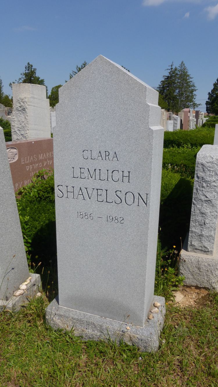 Clara Lemlich Clara Lemlich Shavelson Goldman 1886 1982 Find A Grave Memorial