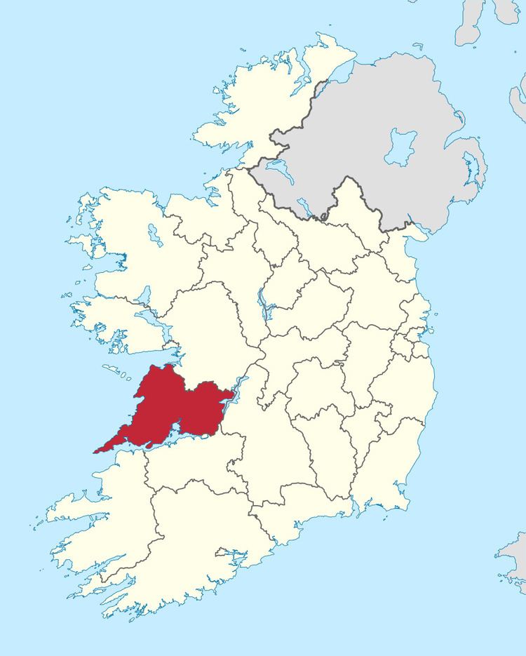 Clare County Council election, 2004