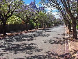 Clarence Park, South Australia httpsuploadwikimediaorgwikipediacommonsthu