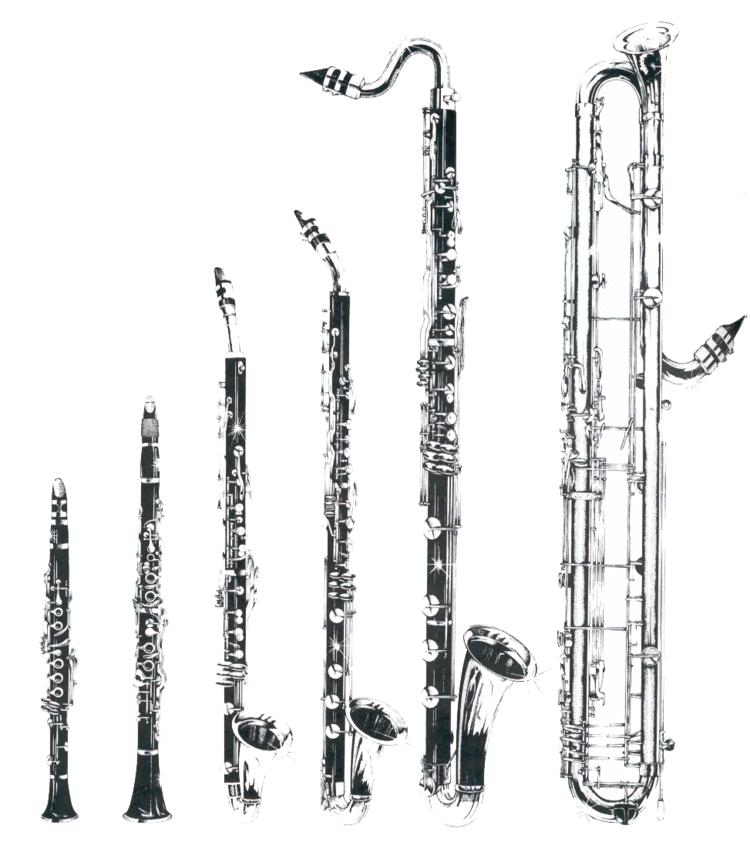 Clarinet family 1000 images about Bass amp contrabass clarinet on Pinterest Oboe