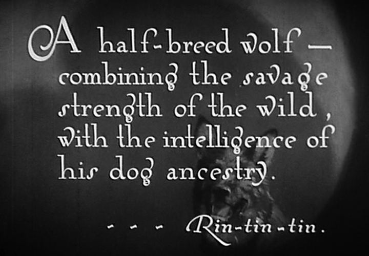 Clash of the Wolves movie scenes USA 1925 Directed by Noel Mason Smith Cast Rin Tin Tin Lobo Nanette Lobo s mate June Marlowe May Barstowe Charles Farrell Dave Weston 