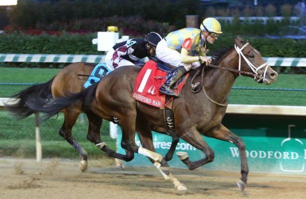 Classic Empire (horse) 2017 Kentucky Derby Classic Empire Pedigree Profile Pedigree