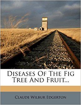Claude Wilbur Edgerton Diseases Of The Fig Tree And Fruit Claude Wilbur Edgerton