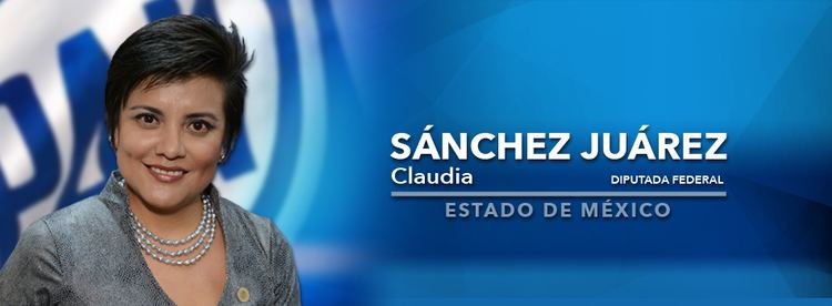 Claudia Sánchez Juárez wwwdiputadospanorgmxMediaLXIIIHeaderLXIIICSJjpg