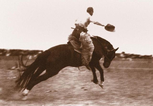 Clayton Danks hanging on for dear life as he rides a bucking bronco at a rodeo.