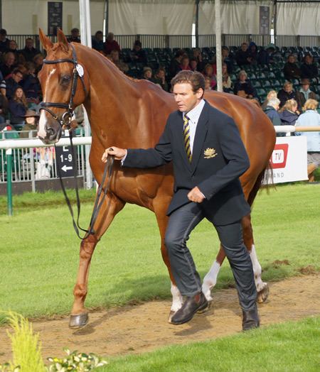 Clayton Fredericks Fredericks39s horse OK after Burghley fall News