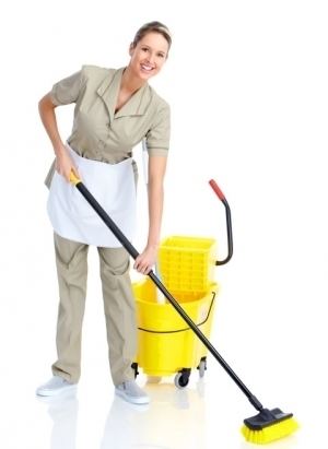 Cleaner Cleaning Services One unit is equl to One hour of a cleaner