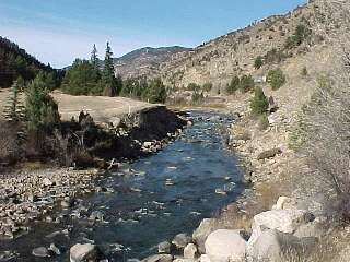 Clear Creek (Colorado) wwwcoloradofishingnetimagesfishtailsftclear4jpg