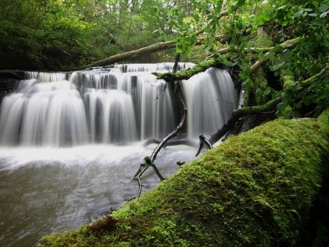 Cleeves Cove Cleeves Cove Scotland39s Killing Times