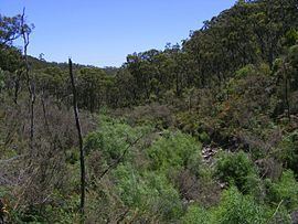 Cleland, South Australia httpsuploadwikimediaorgwikipediacommonsthu