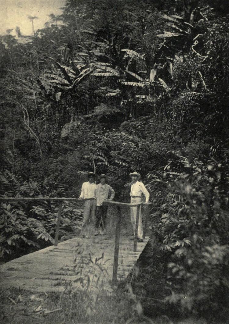 Clement Lindley Wragge FileBridge over a rivulet Tahiti by Clement Lindley Wraggejpg