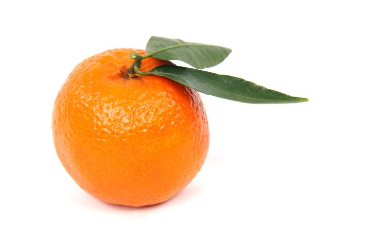 Clementine Clementine sorbet