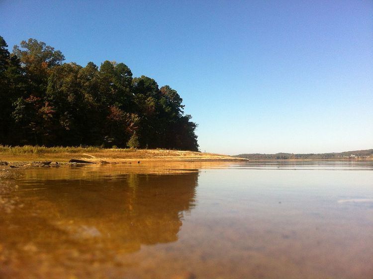 Clemson Experimental Forest