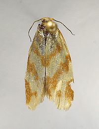 Clepsis pallidana httpsuploadwikimediaorgwikipediacommonsthu
