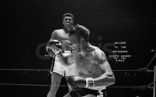 Cleveland Williams Boxer Muhammad Ali Knocking Out Cleveland Williamsjpg