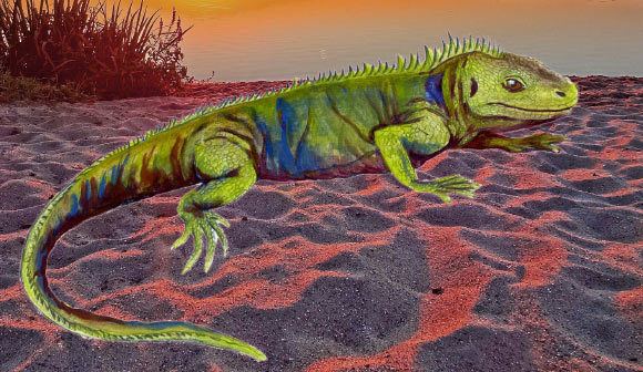 Clevosaurus Clevosaurus sectumsemper New Species of Prehistoric Reptile