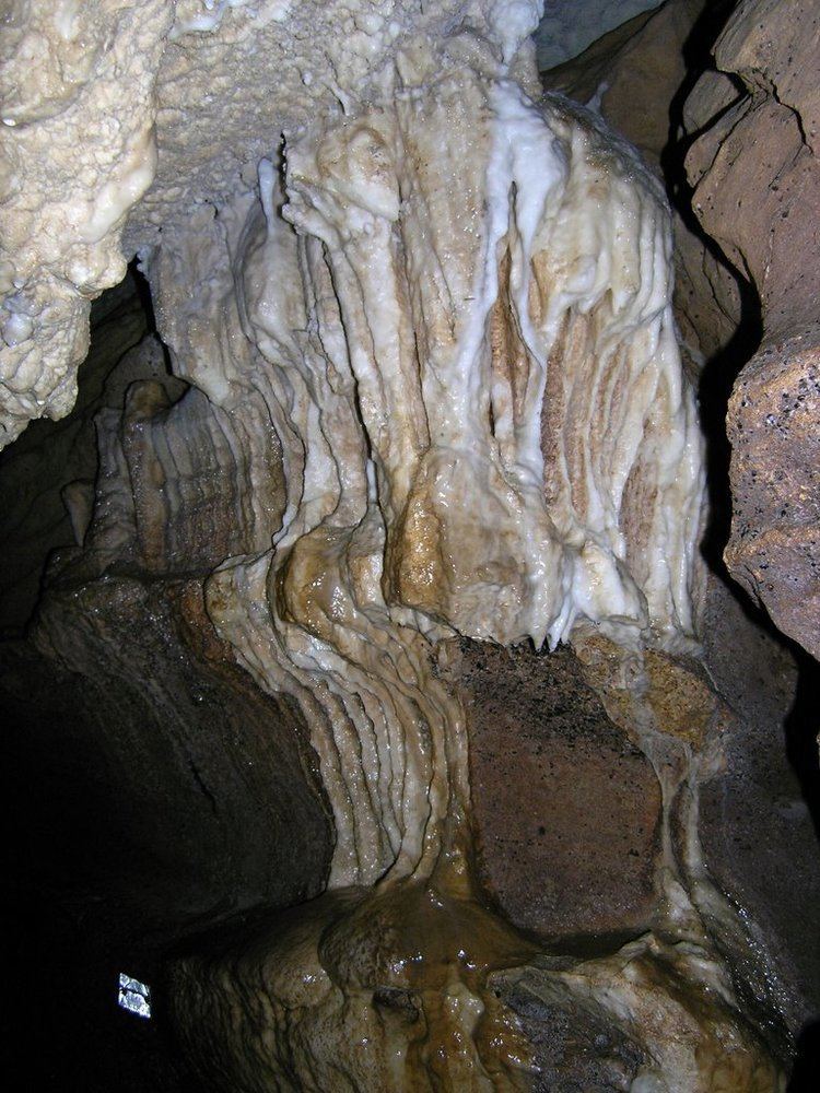 Clifden Limestone Caves Clifden Limestone Caves On Natures Edge Tuatapere