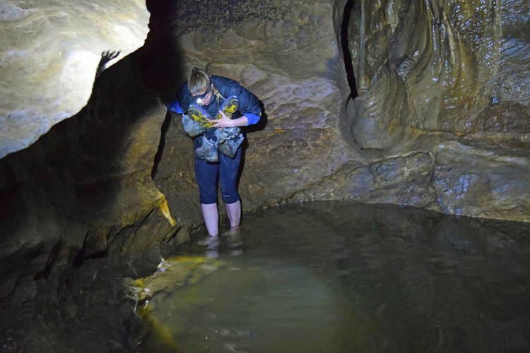 Clifden Limestone Caves A Personal Caving Adventure in Clifden Caves Backpacker Guide New