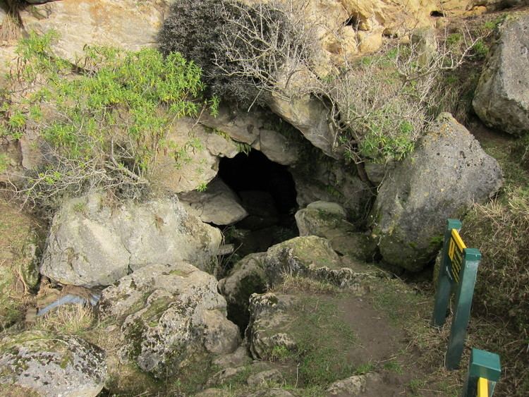 Clifden Limestone Caves Clifden Limestone Caves On Natures Edge Tuatapere