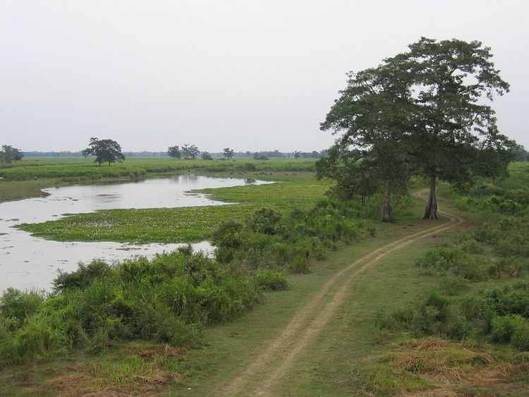 Climate of Kaziranga National Park