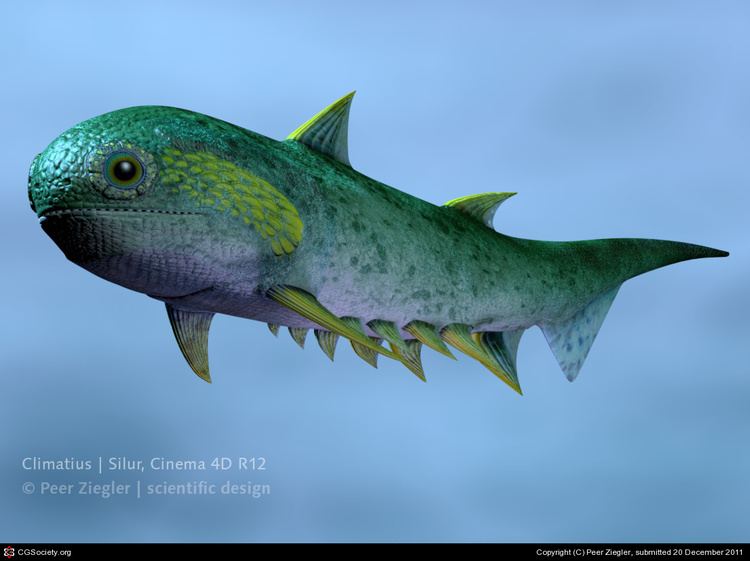 Climatius Reconstruction of Climatius fish from the silurian by Peer Ziegler