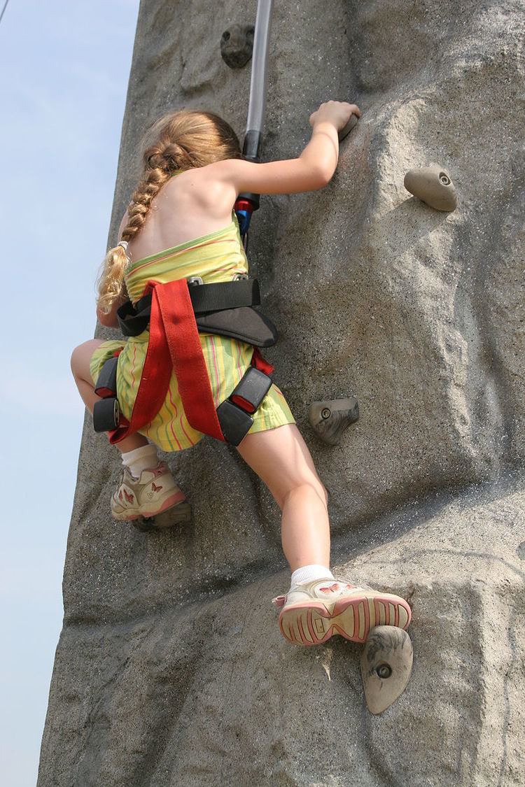 Climbing hold