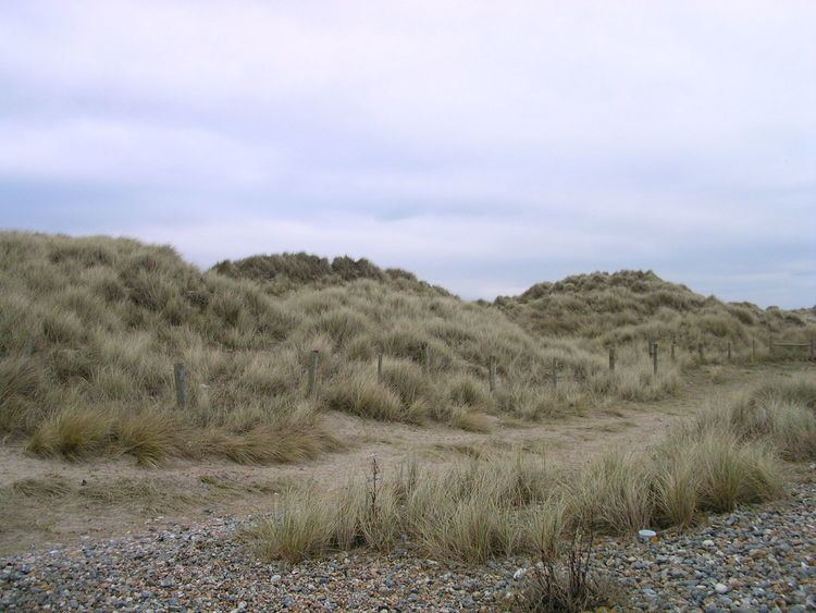 Climping sand dunes