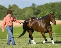 Clinton Anderson (horse trainer) CLINTON ANDERSON TO COMPETE IN 2011 ROAD TO THE HORSE LEGENDS