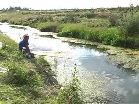 Călmățui River (Brăila) httpsiytimgcomviOwF9yQdgB3Qhqdefaultjpg