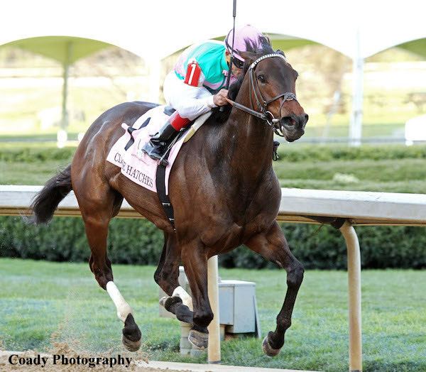 Close Hatches Close Hatches Wires Field in Apple Blossom Horse Racing News