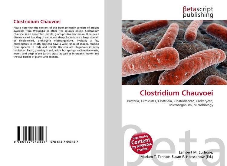 Clostridium chauvoei Clostridium Chauvoei 9786137643457 613764345X 9786137643457