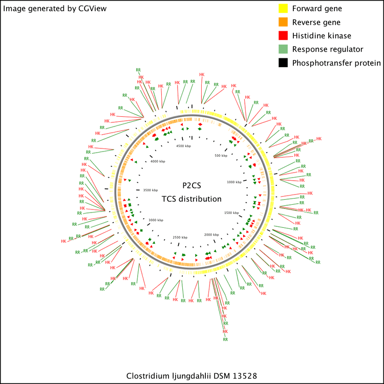 Clostridium ljungdahlii CEADSVIBeBSBVMeLEMIRE P2CS Database Clostridium ljungdahlii