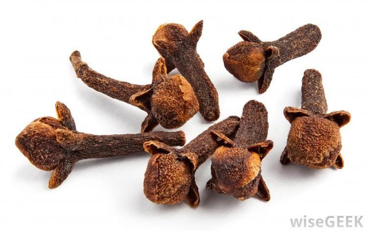 Clove What are Cloves with pictures