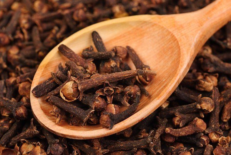 Clove Clove Oil Uses and Benefits for Healing DrAxecom