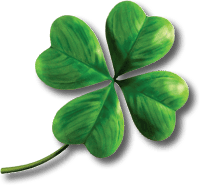 Clover Clover PNG image free clover pictures download