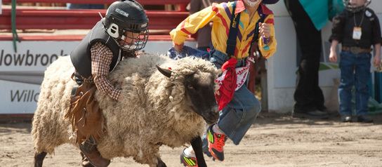 Cloverdale Rodeo and Country Fair Buy Tickets Cloverdale Rodeo