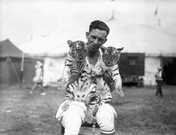 Clyde Beatty CWI10 Clyde Beatty with Tigers Circus World Baraboo