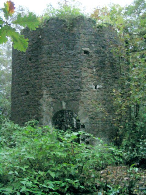 Clyne Valley Country Park Ivy Tower in Clyne Valley Country Park Nigel Davies Geograph