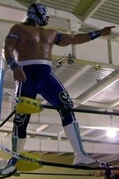 CMLL Universal Championship (2009)