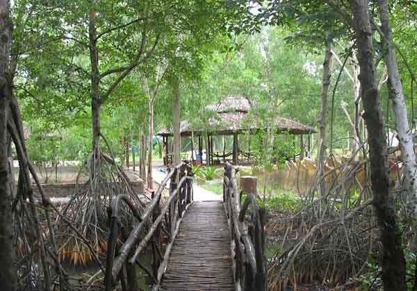 Cần Giờ Mangrove Forest Can Gio Vam Sat Mangrove Forest Day Tour