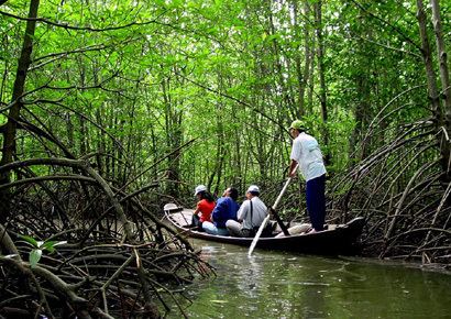Cần Giờ Mangrove Forest 1000 ideas about Can Gio Mangrove Forest on Pinterest Beautiful