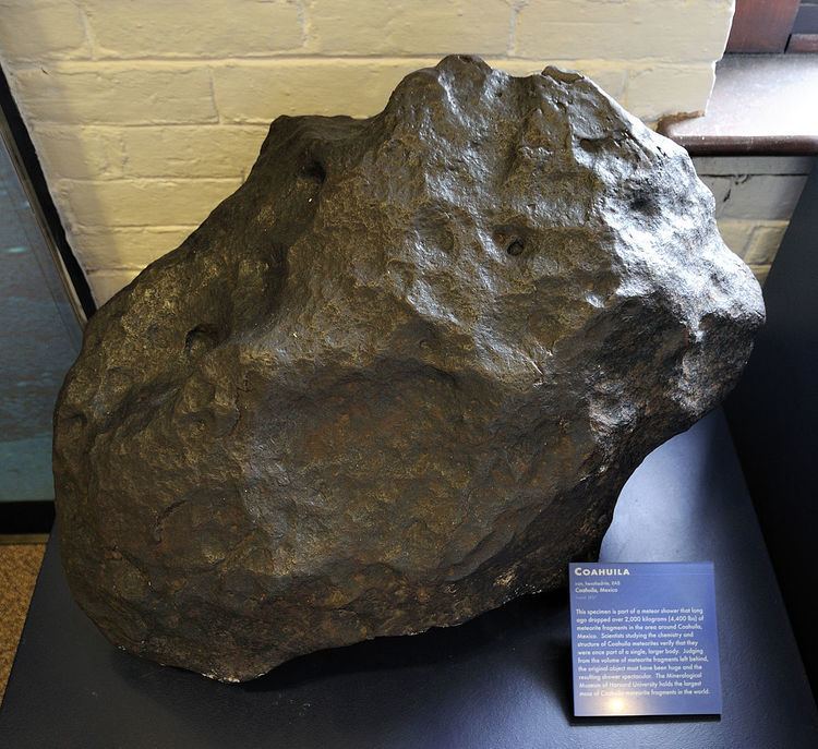 Coahuila meteorite