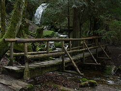 Coal Creek (Washington) httpsuploadwikimediaorgwikipediacommonsthu